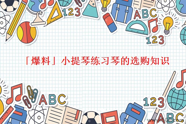 「爆料」小提琴练习琴的选购知识