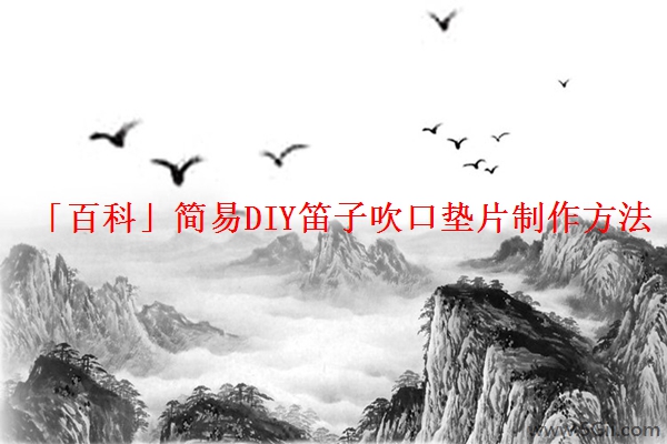 「百科」简易DIY笛子吹口垫片制作方法