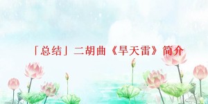 「总结」二胡曲《旱天雷》简介