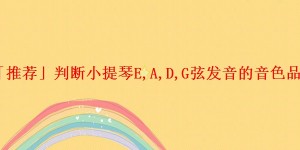 「推荐」判断小提琴E,A,D,G弦发音的音色品质