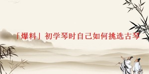 「爆料」初学琴时自己如何挑选古琴