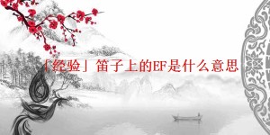 「经验」笛子上的EF是什么意思