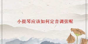 小提琴应该如何定音调弦呢