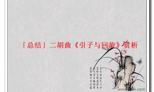 「总结」二胡曲《引子与回旋》赏析