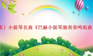 「真实」小提琴名曲《巴赫小提琴独奏奏鸣组曲》简介