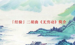 「经验」二胡曲《无穷动》简介